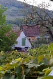 Casa bianca in giardino del villaggio di Saxon, la Transilvania, Romania fotografia stock libera da diritti Casa bianca in giardino del villaggio di Saxon, la Transilvania, Romania fotografia stock libera da diritti