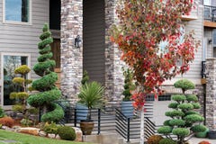 Casa Manicured Front Yard con el Topiary fotografía de archivo libre de regalías Casa Manicured Front Yard con el Topiary fotografía de archivo libre de regalías