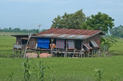Casa rural no campo do arroz em Tailândia imagem de stock Casa rural no campo do arroz em Tailândia imagem de stock