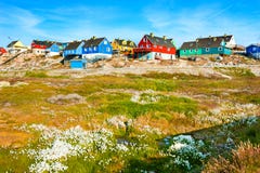 Casas coloridas nas rochas em Ilulissat, Gronelândia fotografia de stock royalty free Casas coloridas nas rochas em Ilulissat, Gronelândia fotografia de stock royalty free