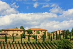 Casas con los árboles del viñedo y de ciprés en el ` Orcia, Toscana de Val d, Imagenes de archivo Casas con los árboles del viñedo y de ciprés en el ` Orcia, Toscana de Val d, Imagenes de archivo