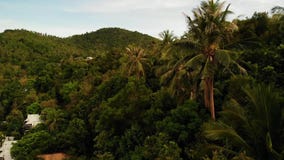 Casas de campo no cume verde da montanha Opini?o majestosa do zang?o das casas de campo luxuosas situadas na cordilheira verde em filme Casas de campo no cume verde da montanha Opini?o majestosa do zang?o das casas de campo luxuosas situadas na cordilheira verde em filme
