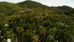Casas de campo no cume verde da montanha Opinião majestosa do zangão das casas de campo luxuosas situadas na cordilheira verde em video estoque Casas de campo no cume verde da montanha Opinião majestosa do zangão das casas de campo luxuosas situadas na cordilheira verde em video estoque