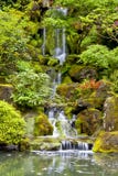 Cascada Cascada