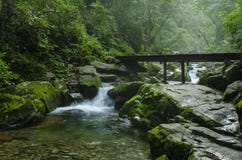 Cascada en el r?o de la monta?a en bosque del verano en la puesta del sol Luz, niebla fotografía de archivo libre de regalías Cascada en el r?o de la monta?a en bosque del verano en la puesta del sol Luz, niebla fotografía de archivo libre de regalías