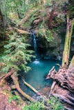 Cascada y una piscina azul profundamente en el bosque fotos de archivo Cascada y una piscina azul profundamente en el bosque fotos de archivo