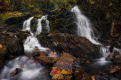 Cascades d'Autumn Forest Landscape With Beautiful Falling de crique et et feuilles colorées sur les pierres Courant à froid de mo photographie stock libre de droits Cascades d'Autumn Forest Landscape With Beautiful Falling de crique et et feuilles colorées sur les pierres Courant à froid de mo photographie stock libre de droits