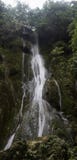Cascades Waterfalls Royalty Free Stock Photos Cascades Waterfalls Royalty Free Stock Photos