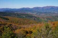 Casentino et Appennines de Pratomagno, feuillage d'autum Images libres de droits Casentino et Appennines de Pratomagno, feuillage d'autum Images libres de droits