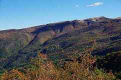 Casentino et Appennines de Pratomagno, feuillage d'autum Photographie stock Casentino et Appennines de Pratomagno, feuillage d'autum Photographie stock
