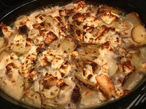 Casserole with Cheese stock images Casserole with Cheese stock images