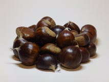 Castagne fotografia stock libera da diritti Castagne fotografia stock libera da diritti