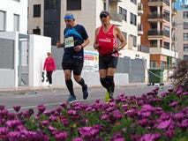Castellon, Ισπανία 24 Φεβρουαρίου 2019 οι δρομείς κατά τη διάρκεια ενός μαραθωνίου συναγωνίζονται στοκ φωτογραφίες Castellon, Ισπανία 24 Φεβρουαρίου 2019 οι δρομείς κατά τη διάρκεια ενός μαραθωνίου συναγωνίζονται στοκ φωτογραφίες