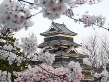 Castelo de Matsumoto durante a flor de cereja (Sakura) imagem de stock Castelo de Matsumoto durante a flor de cereja (Sakura) imagem de stock