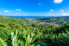 Castries, Santa Lucía - playa tropical de la costa en la isla caribeña de St Lucia Es un destino del paraíso con una arena blanca imagenes de archivo Castries, Santa Lucía - playa tropical de la costa en la isla caribeña de St Lucia Es un destino del paraíso con una arena blanca imagenes de archivo