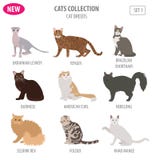 Cat breeds icon set flat style isolated on white. Create own inf royalty free illustration Cat breeds icon set flat style isolated on white. Create own inf royalty free illustration