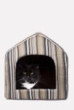 Cat In His House Royalty Free Stock Images