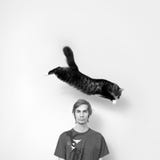 Cat Jumping Over A Man S Head Royalty Free Stock Photography