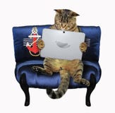 Cat with a laptop on the sofa royalty free stock photography Cat with a laptop on the sofa royalty free stock photography