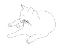 Featured image of post Simple Cat Drawing Laying Down You ll see that cat drawing is easier than you think