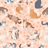 Cat pattern. Seamless texture with cute multicolor cats, kids wallpapers with funny happy pets, fabric textile vector