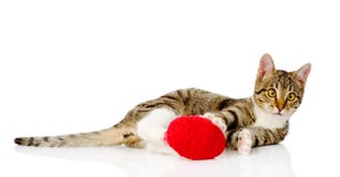 Cat playing with a ball. on white background Stock Photos Cat playing with a ball. on white background Stock Photos