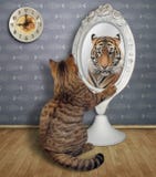Cat sits and looks in the mirror 3 stock image Cat sits and looks in the mirror 3 stock image