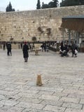 Old City of Jerusalem stock photography Old City of Jerusalem stock photography