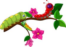 Caterpillar cartoon collection