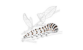 Caterpillar σε ένα δέντρο ελεύθερη απεικόνιση δικαιώματος Caterpillar σε ένα δέντρο ελεύθερη απεικόνιση δικαιώματος