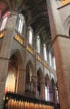 Cathedrale Notre-Dame-de-l´Assomption, Rodez (France ) stock photography Cathedrale Notre-Dame-de-l´Assomption, Rodez (France ) stock photography