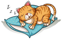 catnap vector illustratie catnap vector illustratie