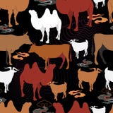 Cattle grazing in a meadow. vector illustration Cattle grazing in a meadow. vector illustration