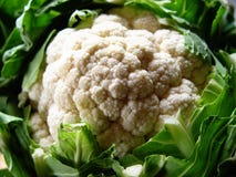 Cauliflower Royalty Free Stock Image Cauliflower Royalty Free Stock Image