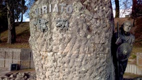 Cava de Viriato Cava de Viriato