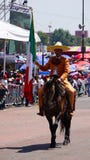 Cavalier mexicain images libres de droits Cavalier mexicain images libres de droits