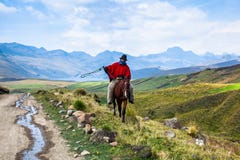 Cavalli da equitazione dei cowboy fotografia stock libera da diritti Cavalli da equitazione dei cowboy fotografia stock libera da diritti