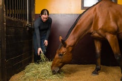 Cavallo d'alimentazione della donna fotografia stock Cavallo d'alimentazione della donna fotografia stock