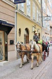 Cavallo e trasporto a Salisburgo fotografia stock libera da diritti Cavallo e trasporto a Salisburgo fotografia stock libera da diritti