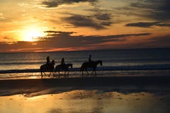A cavallo i cavalieri camminano lungo il Wave-line mentre il sole aumenta nell'est fotografia stock libera da diritti A cavallo i cavalieri camminano lungo il Wave-line mentre il sole aumenta nell'est fotografia stock libera da diritti