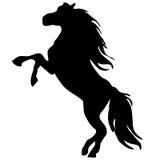 Cavalo da silhueta ilustração royalty free Cavalo da silhueta ilustração royalty free
