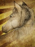 Cavalo no pasto