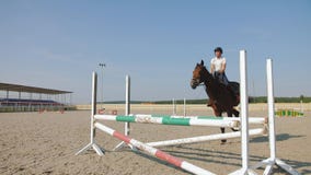 Mulher Cavaleira Cavalgando a Cavalo Marrom E Pulando a Cerca Na Arena De  Sandy Parkour Aperfeiçoamento Profissional Competitivo Imagem de Stock -  Imagem de fêmea, marrom: 165294797