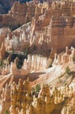 Cayon Bryce накаляет в свете раннего утра Стоковая Фотография Cayon Bryce накаляет в свете раннего утра Стоковая Фотография