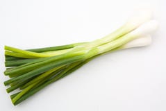 Cebola verde isolada imagem de stock royalty free Cebola verde isolada imagem de stock royalty free