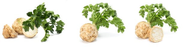 Celery root with leaf isolated on white background. Celery isolated on white. Healthy food stock images Celery root with leaf isolated on white background. Celery isolated on white. Healthy food stock images