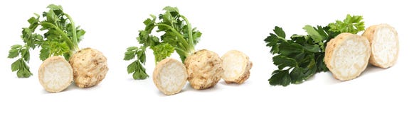 celery root with leaf isolated on white background. Celery isolated on white. Healthy food stock image celery root with leaf isolated on white background. Celery isolated on white. Healthy food stock image