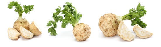 Celery root with leaf isolated on white background. Celery isolated on white. Healthy food stock photography Celery root with leaf isolated on white background. Celery isolated on white. Healthy food stock photography