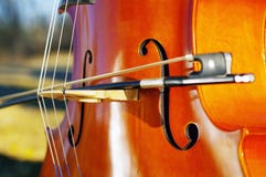 Cello outdoors in the park in fall autumn day with colourful leaves royalty free stock photo Cello outdoors in the park in fall autumn day with colourful leaves royalty free stock photo