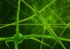 Cellule del neurone e della sinapsi che inviano i segnali chimici elettrici illustrazione di stock Cellule del neurone e della sinapsi che inviano i segnali chimici elettrici illustrazione di stock